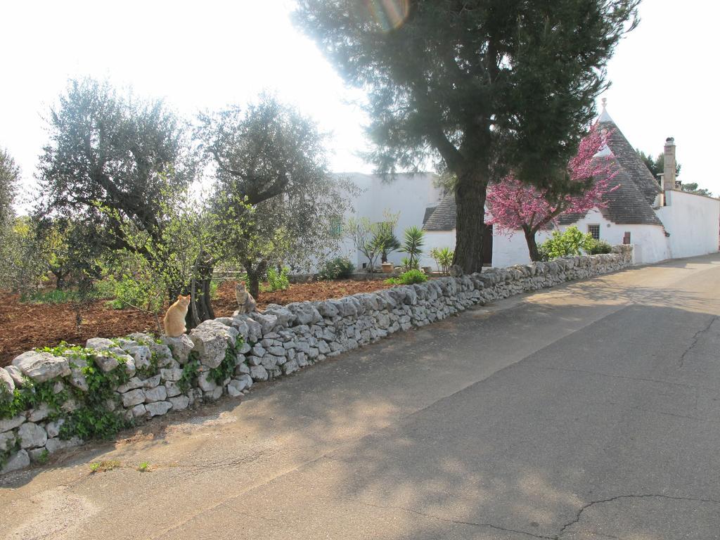 Casa Mario Villa Cisternino Rom bilde
